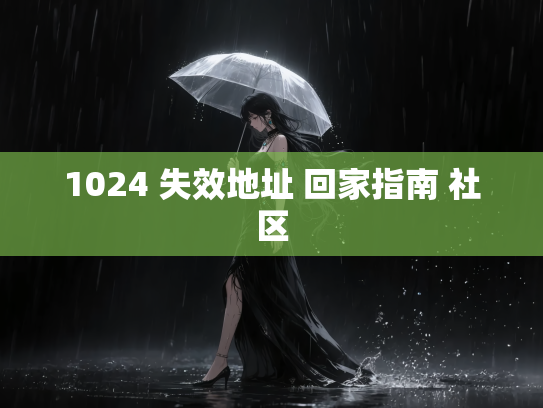 1024 失效地址 回家指南 社区