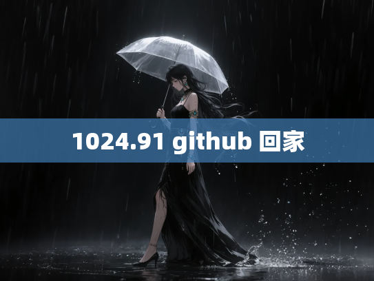1024.91 github 回家