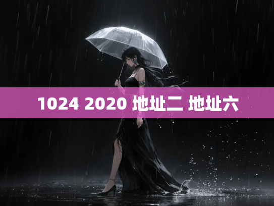 1024 2020 地址二 地址六