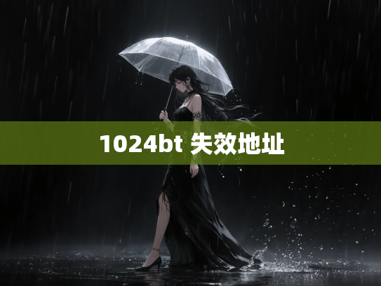 1024bt 失效地址
