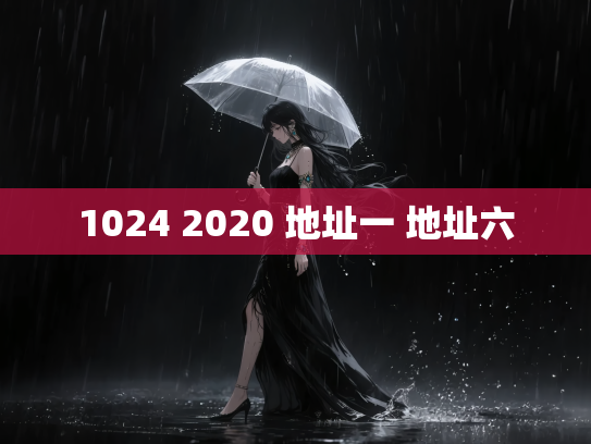 1024 2020 地址一 地址六