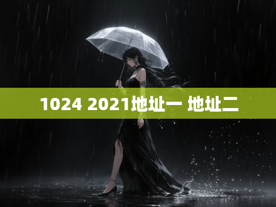 1024 2021地址一 地址二