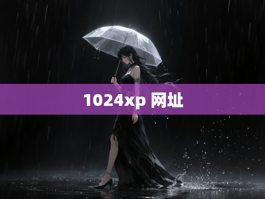 1024xp 网址
