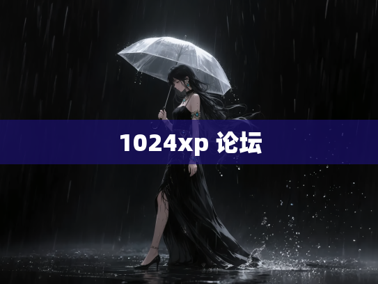 1024xp 论坛