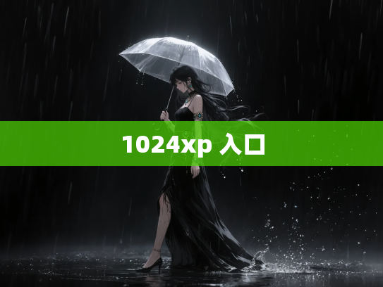 1024xp 入口