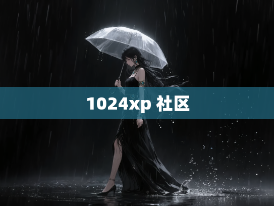 1024xp 社区