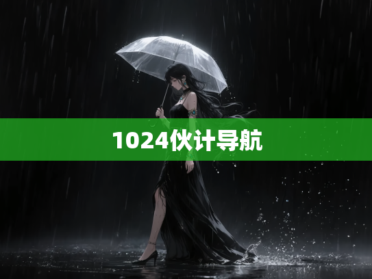 1024伙计导航
