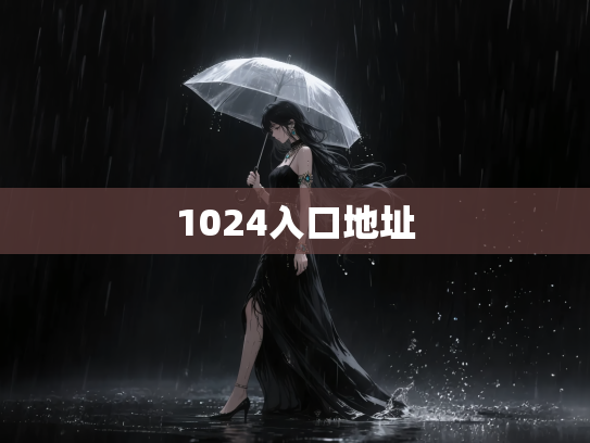 1024入口地址