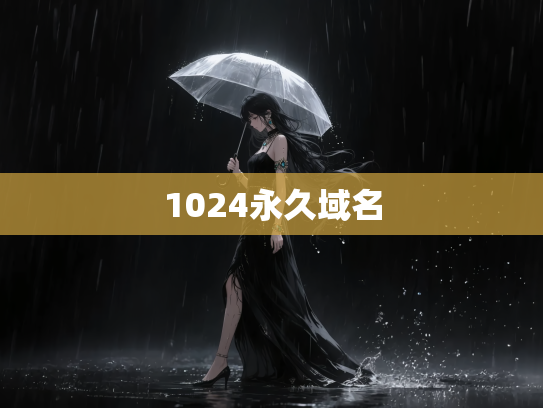 1024永久域名