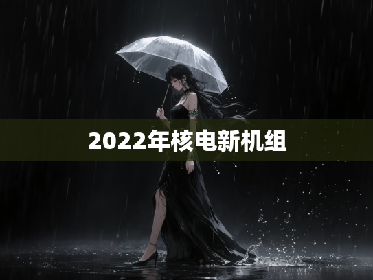 2022年核电新机组