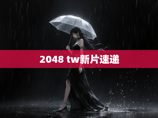 2048 tw新片速递