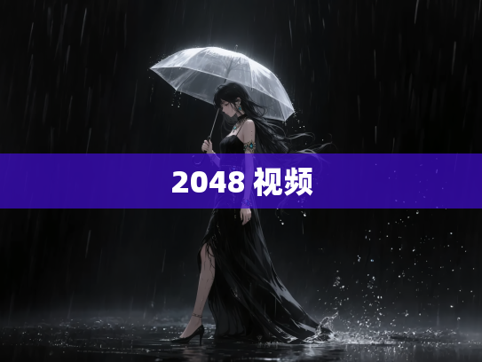 2048 视频