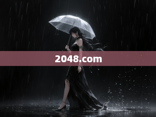 2048.com
