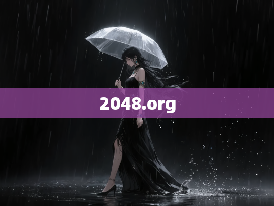 2048.org