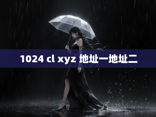 1024 cl xyz 地址一地址二