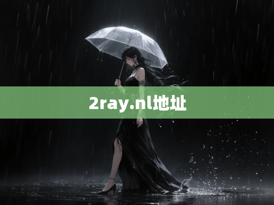 2ray.nl地址