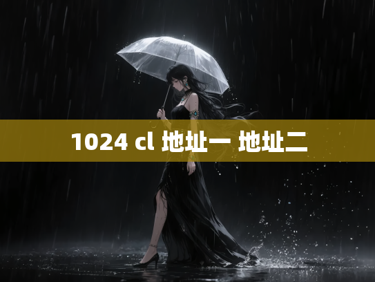 1024 cl 地址一 地址二