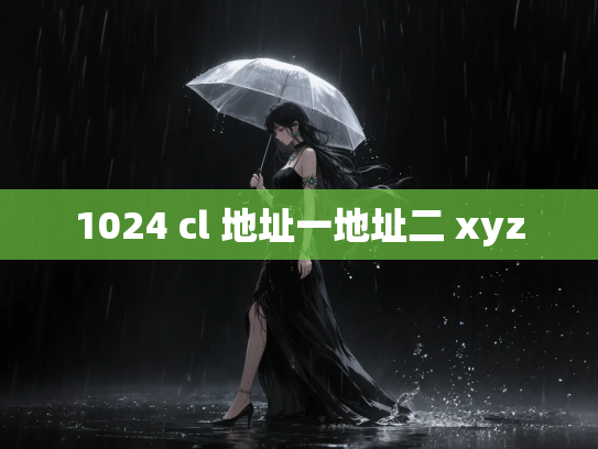 1024 cl 地址一地址二 xyz