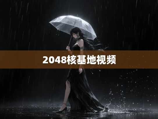2048核基地视频