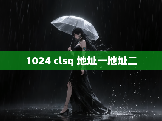 1024 clsq 地址一地址二