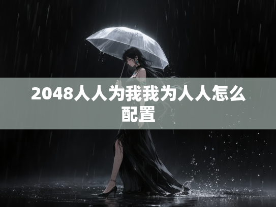 2048人人为我我为人人怎么配置