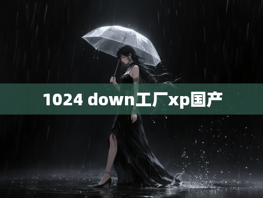 1024 down工厂xp国产
