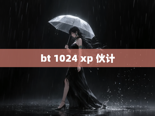 bt 1024 xp 伙计