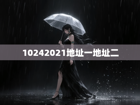 10242021地址一地址二