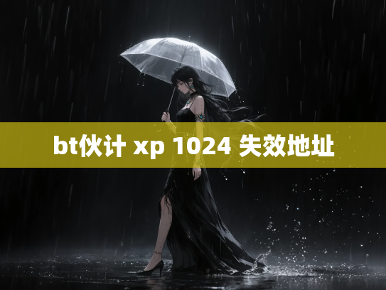 bt伙计 xp 1024 失效地址