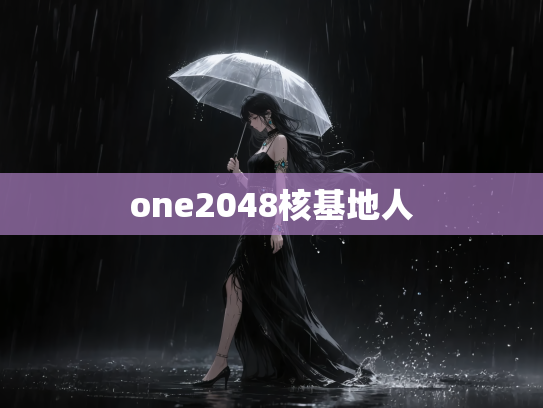 one2048核基地人