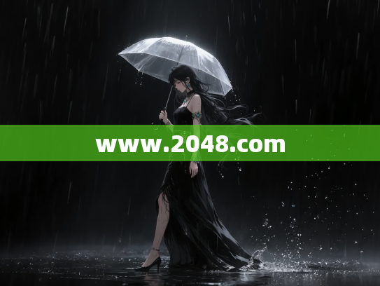 www.2048.com