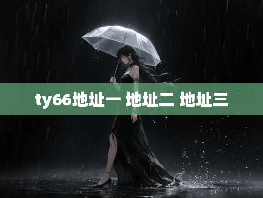 ty66地址一 地址二 地址三