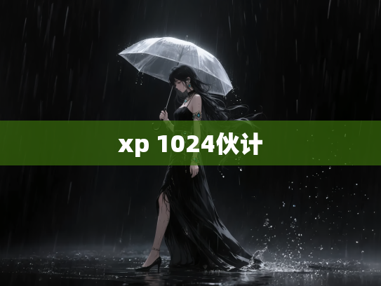 xp 1024伙计