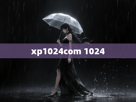 xp1024com 1024