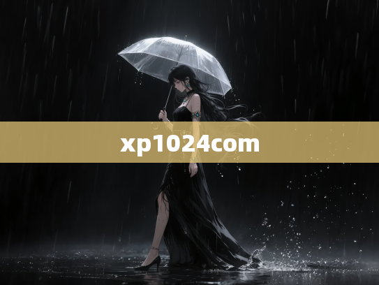 xp1024com