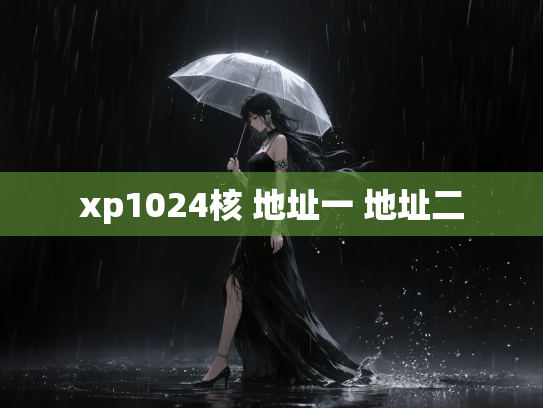 xp1024核 地址一 地址二
