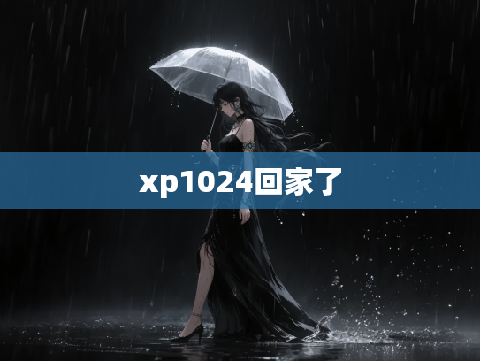 xp1024回家了