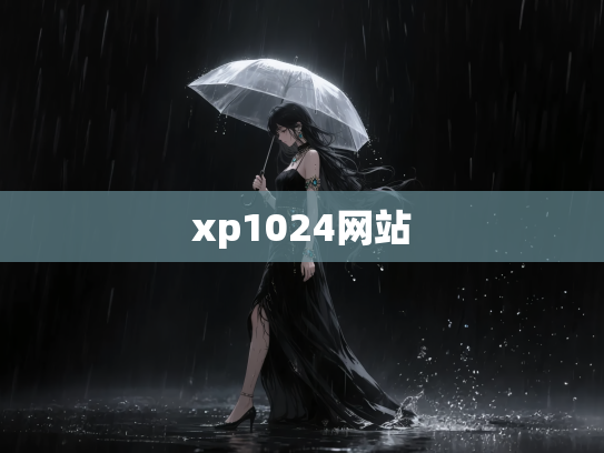 xp1024网站