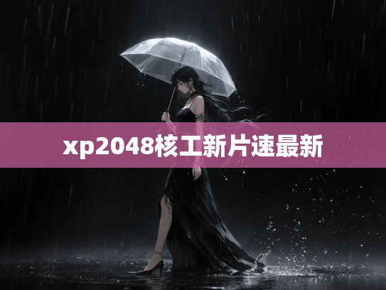 xp2048核工新片速最新