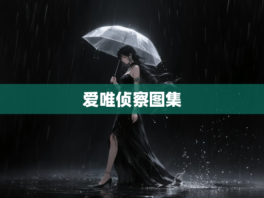 爱唯侦察图集