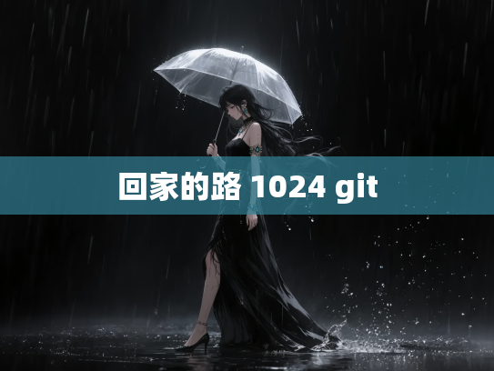 回家的路 1024 git
