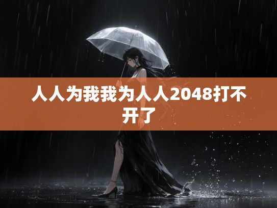 人人为我我为人人2048打不开了