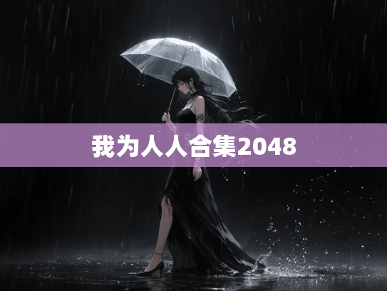 我为人人合集2048