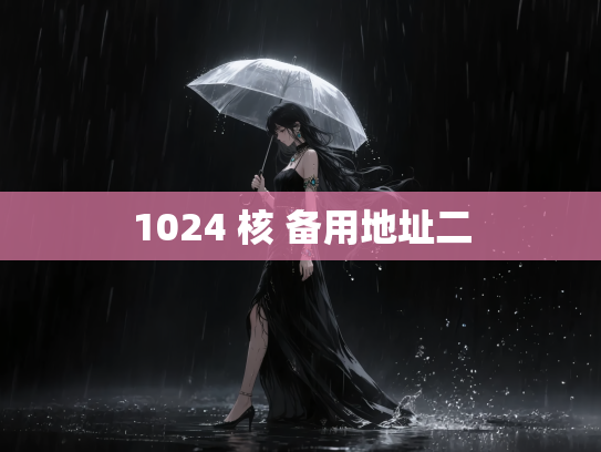 1024 核 备用地址二