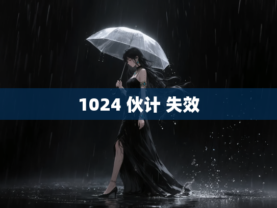 1024 伙计 失效